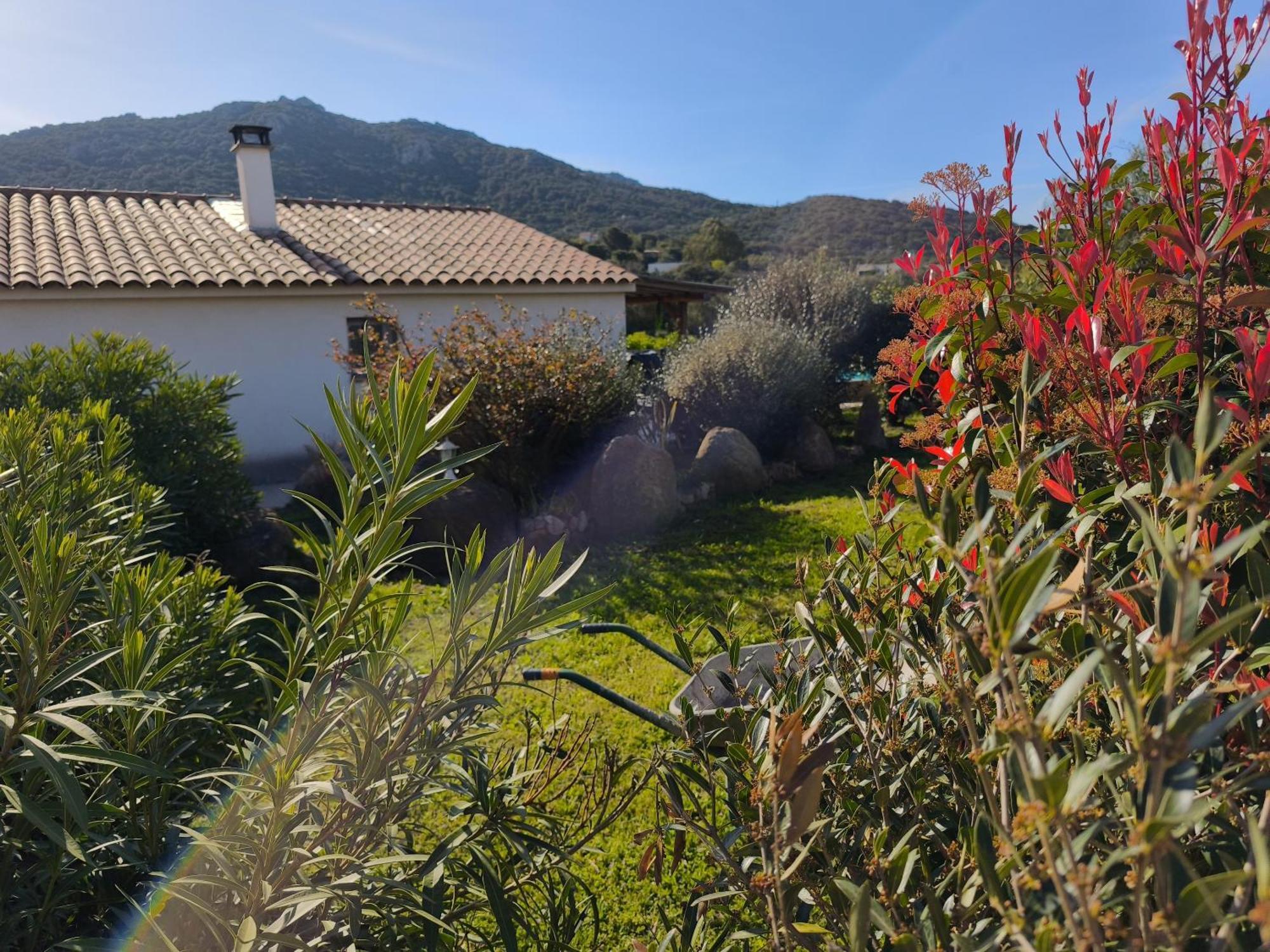 Isula Bella Figari (Corsica)